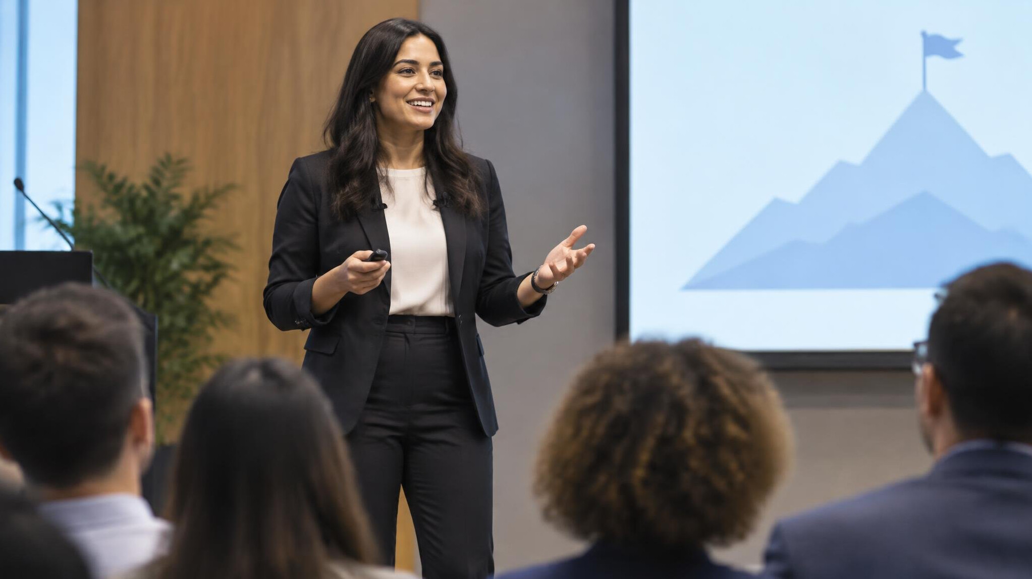 person giving presentation